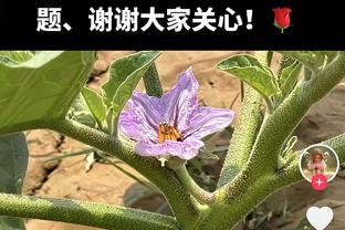 还是不准！克莱首节7投2中拿到7分 但正负值+7